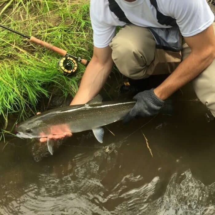 Caught A Fish And The Photo Makes It Look Transparent - Mind-Bending Photos You Won’t Believe