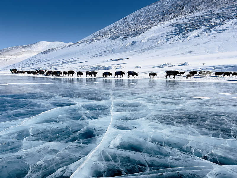 Winter Migration by Alessandra Manzotti - Mobile Photography Awards Winners