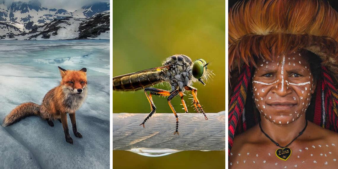 Mobile Photography Awards Winners