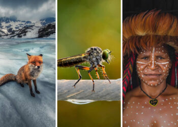 Mobile Photography Awards Winners