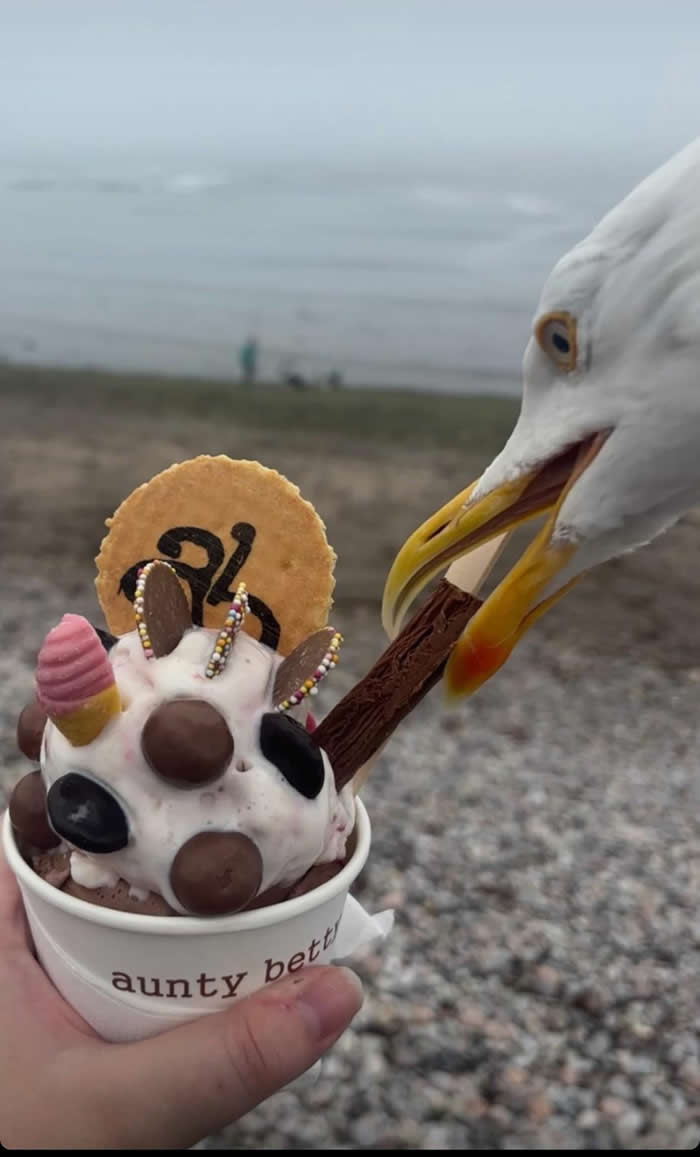 Goodbye flake... - Perfectly Timed Photos Moments before disaster