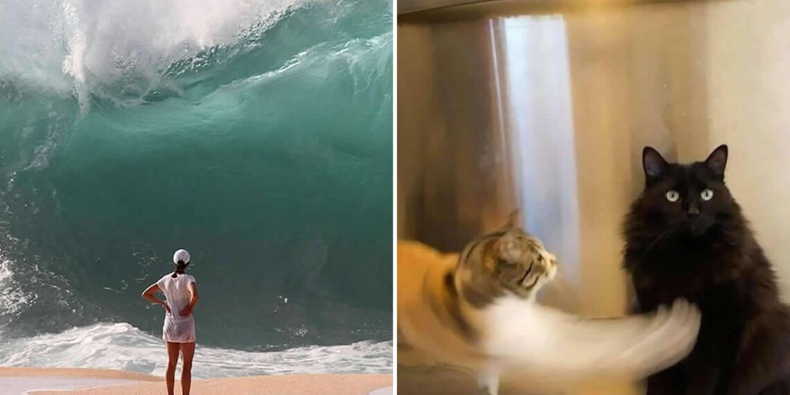 Perfectly Timed Photos Moments before disaster