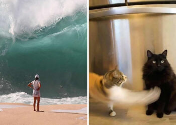 Perfectly Timed Photos Moments before disaster