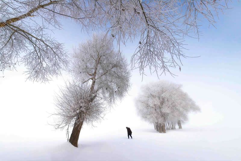 Hunter by Farshid Ahmadpour, Islamic Republic of Iran - Nikon Film and Photo Contest 2025 Winners