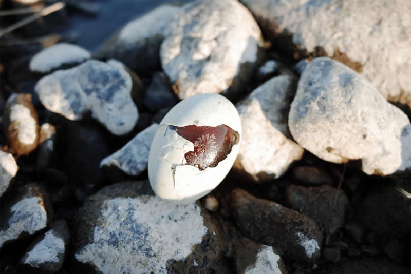 Farewell-able by Lei Yang, Chinese mainland - Nikon Film and Photo Contest 2025 Winners