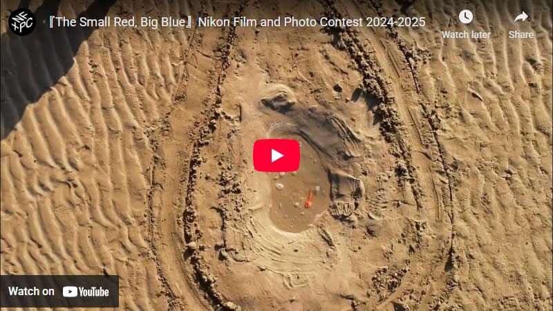 The Small Red, Big Blue by Hamed Nobari, Islamic Republic of Iran - Nikon Film and Photo Contest 2025 Winners