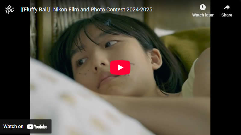 Fluffy Ball by Ning Qian, Chinese mainland - Nikon Film and Photo Contest 2025 Winners