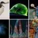 nikon small world photo contest 2025 winners