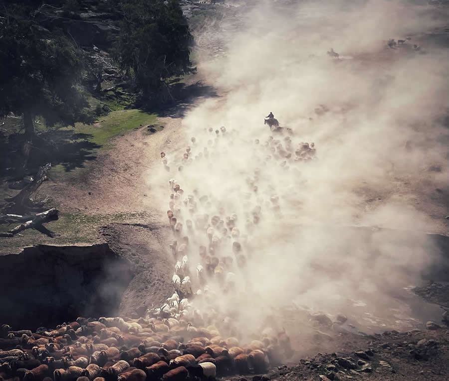 The Arduous Trail of Transhumance by Tao Hong | iPhone 12 mini - OnePlus Photography Awards 2025 Winners