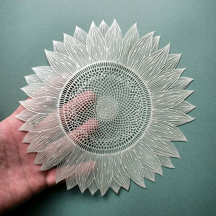 Paper Artworks by Pippa Dyrlaga That Transform Flora and Fauna