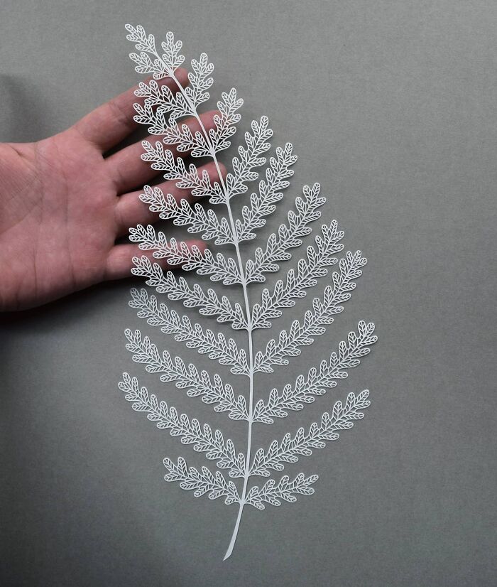 Paper Artworks by Pippa Dyrlaga That Transform Flora and Fauna