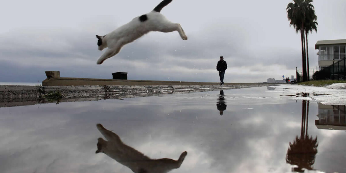 Perfectly Composed Street Photos