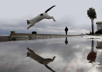 Perfectly Composed Street Photos