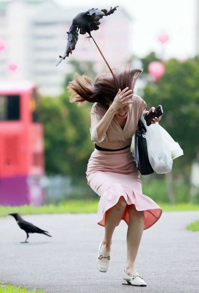 Perfectly Timed Photos That Capture the Exact Moment
