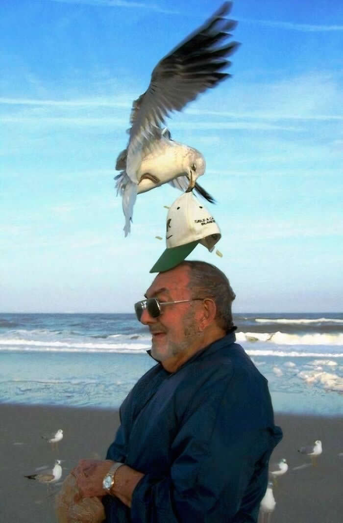 Perfectly Timed Photos That Capture the Exact Moment