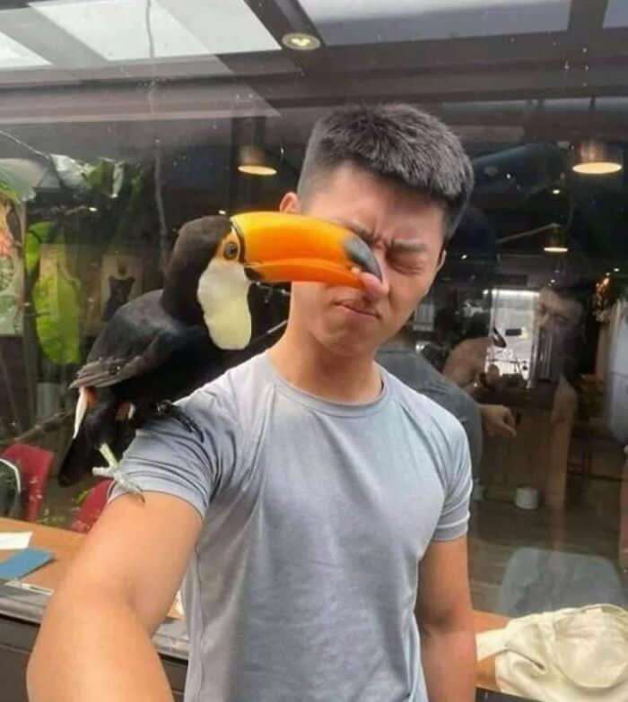 Perfectly Timed Photos That Capture the Exact Moment