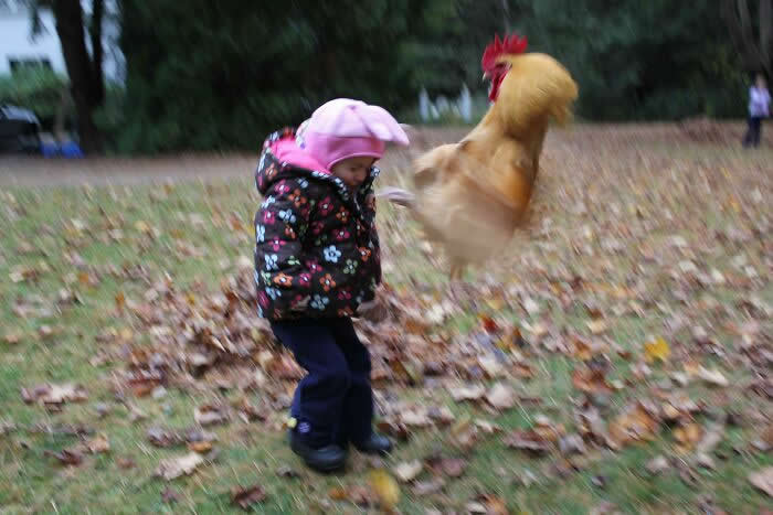 Perfectly Timed Photos That Capture the Exact Moment