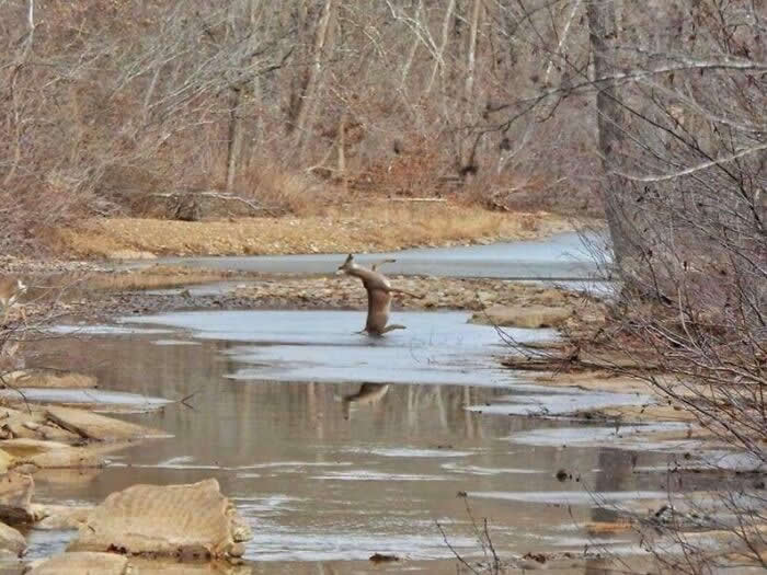 Perfectly Timed Photos That Capture the Exact Moment