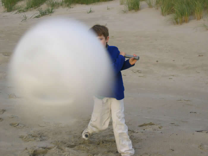 Perfectly Timed Photos That Capture the Exact Moment