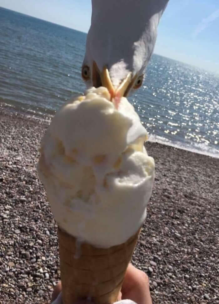 Perfectly Timed Photos That Capture the Exact Moment