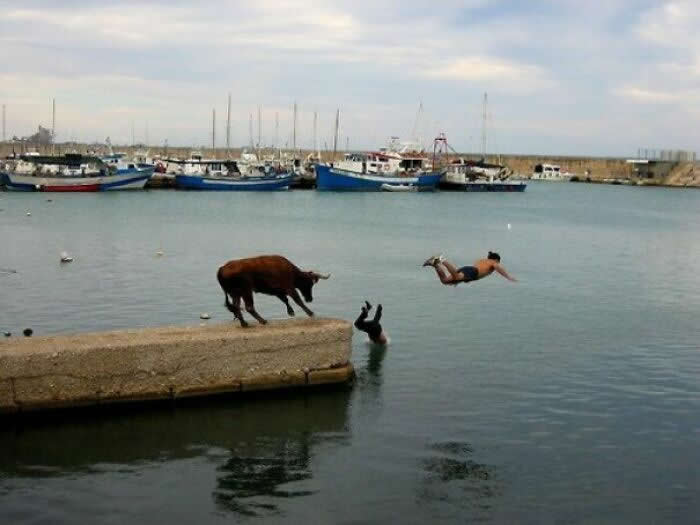 Perfectly Timed Photos That Capture the Exact Moment