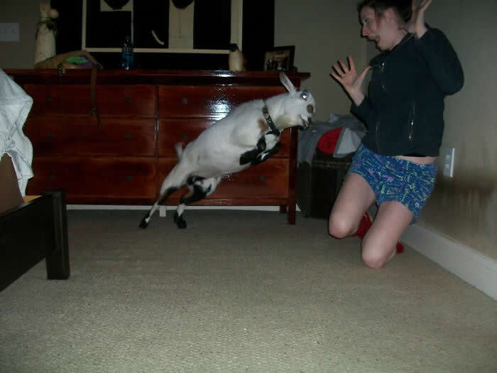 Perfectly Timed Photos That Capture the Exact Moment