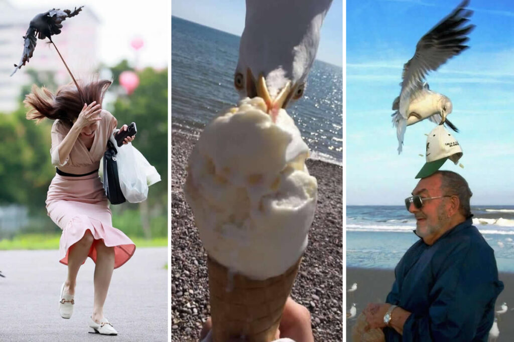 Perfectly Timed Photos That Capture the Exact Moment