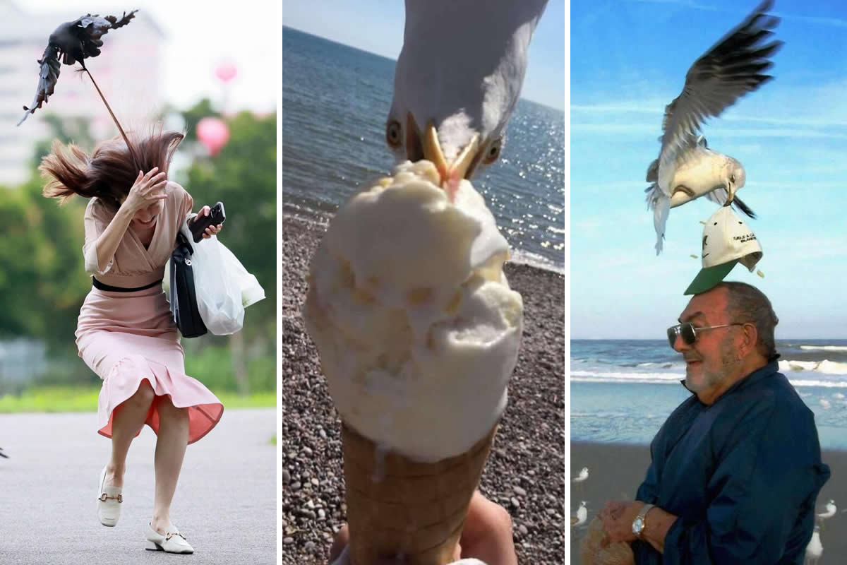 Perfectly Timed Photos That Capture the Exact Moment