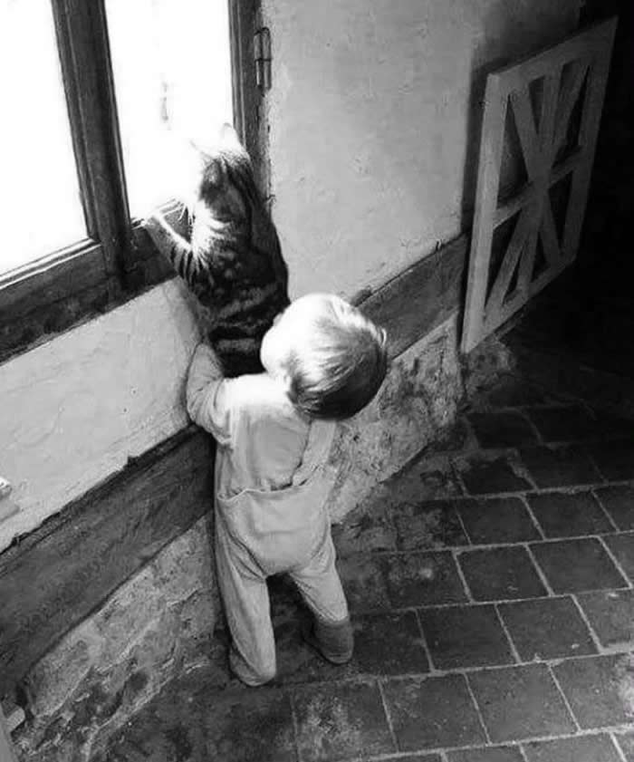 Boy playing with a cat - Pure Joy of Childhood Black and White Photos