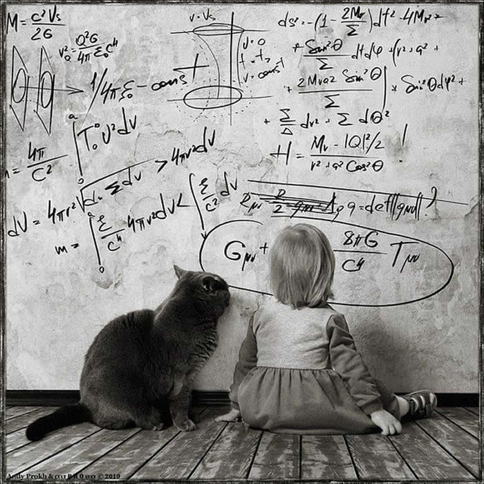 Girl and cat sitting together as if teaching math - Pure Joy of Childhood Black and White Photos