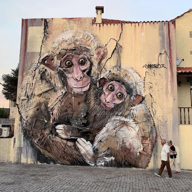 Wall in Viseu, Portugal - Incredible Street Murals Around the World