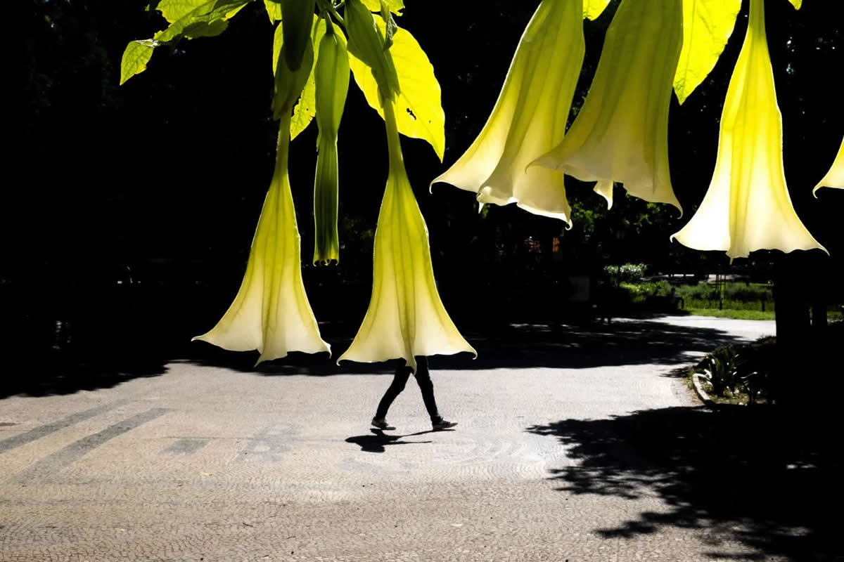 Street Photography by Gil Ribeiro