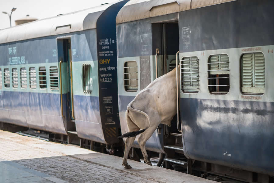 Street Photography Jozef Macak