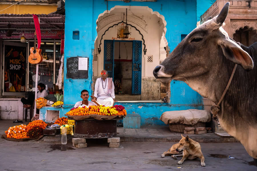 Street Photography Jozef Macak
