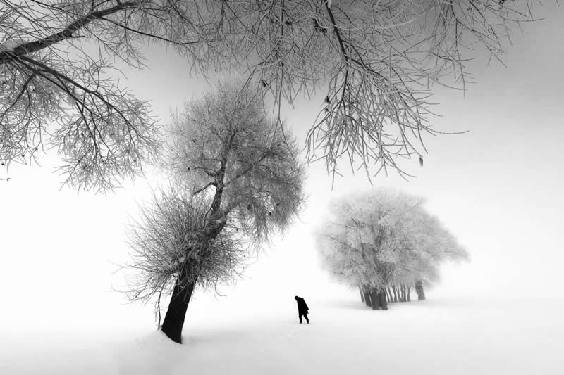 Hunter by Farshid Ahmadpour - Sublime Photo Awards 2025 Winners