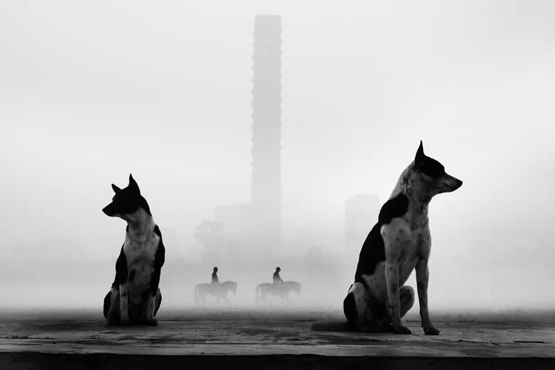 Misty morning whispers by Ayanava Sil - Sublime Photo Awards 2025 Winners