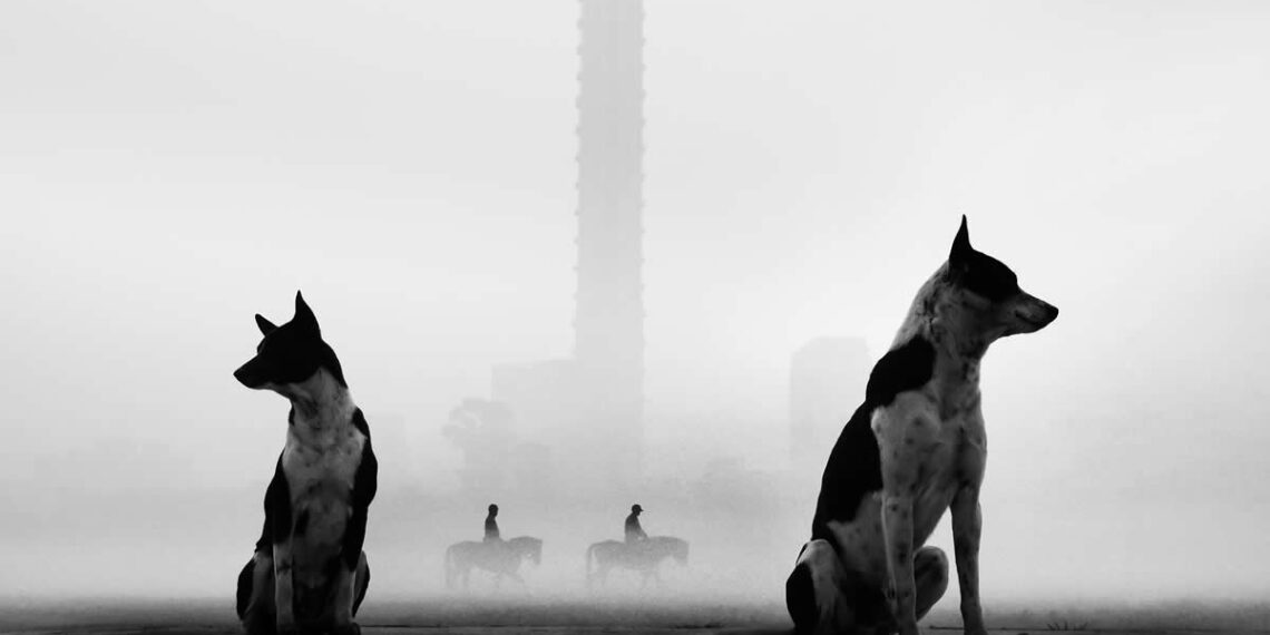 Sublime Photo Awards 2025 Winners