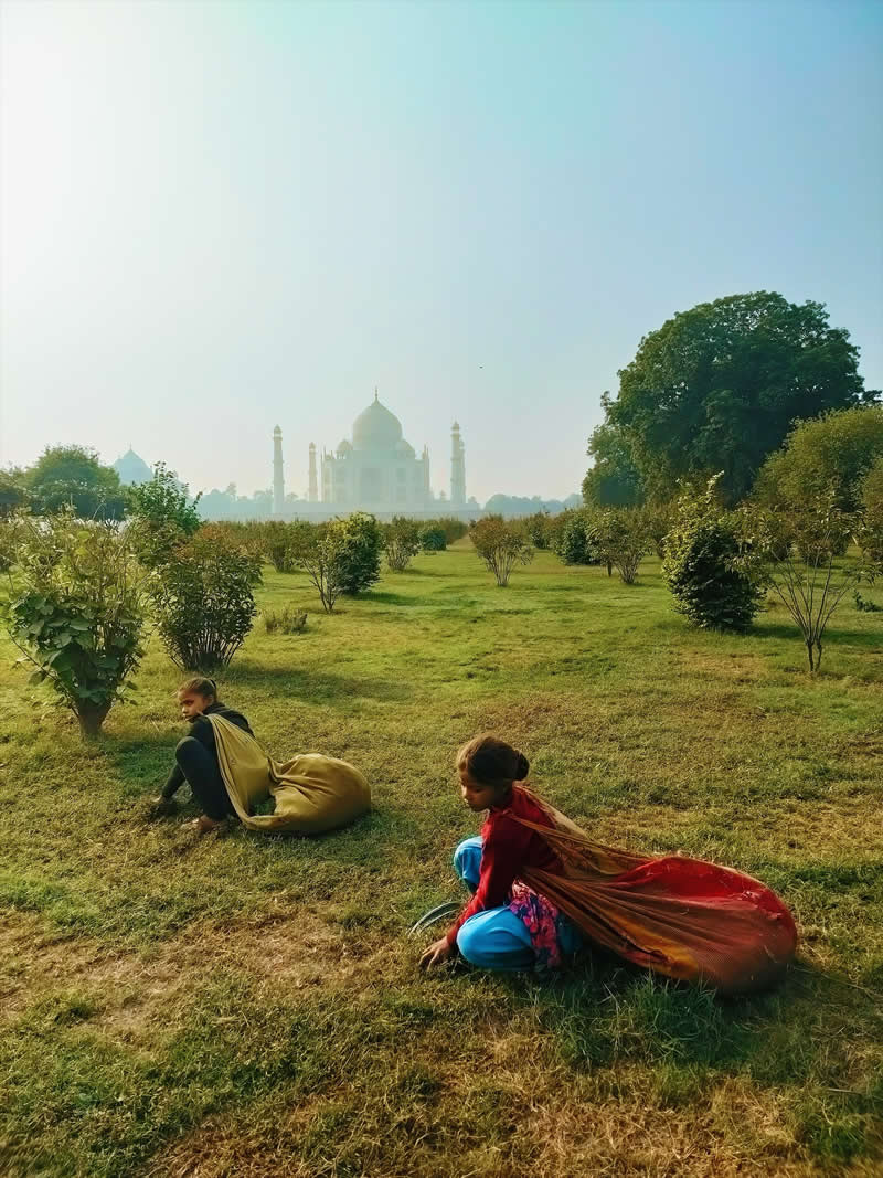 Taj Mahal Timeless Charm by Ganesh Vanare