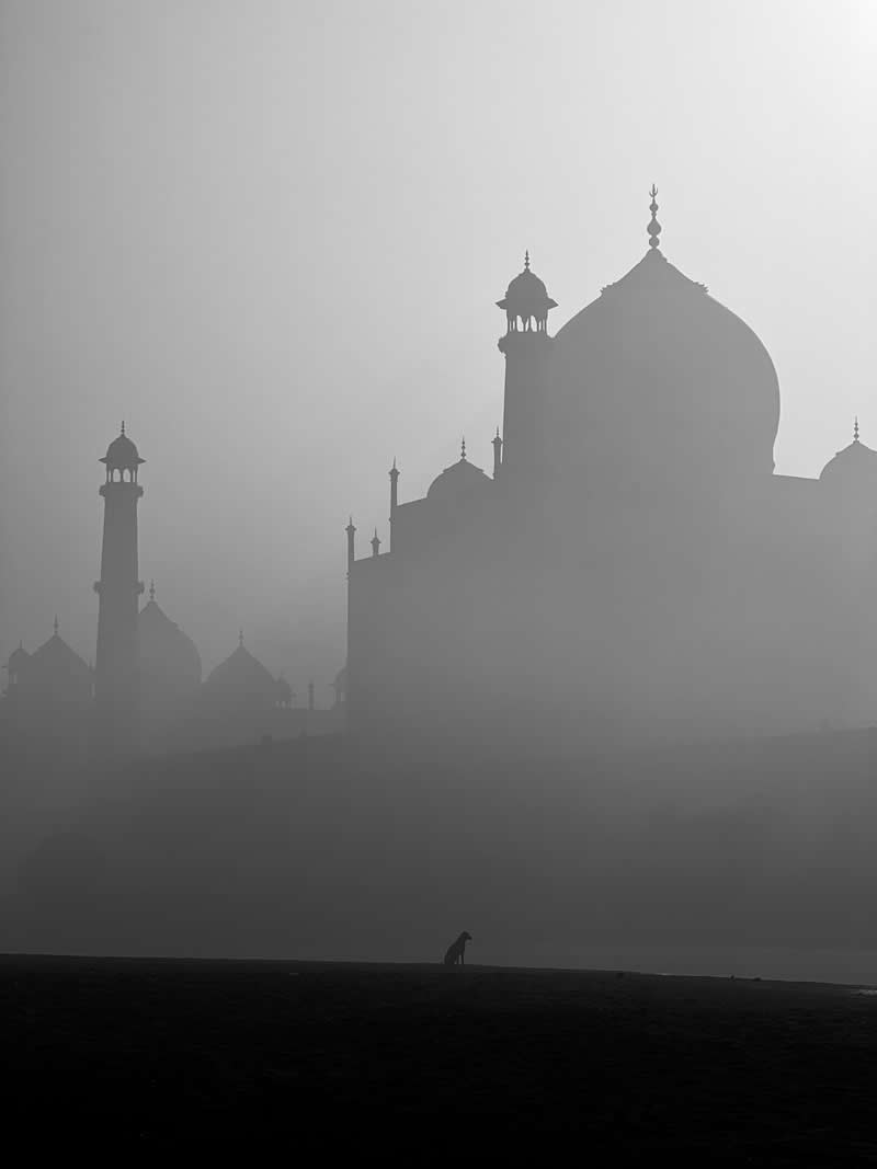 Taj Mahal Timeless Charm by Ganesh Vanare