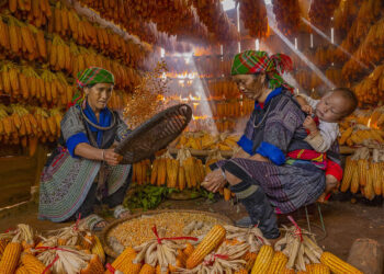 Vietnam Travel Photography by Tania Chatterjee