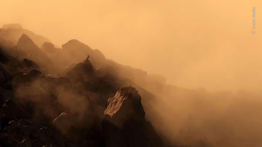 Alpine Dawn by Lubin Godin - Wildlife Photographer of the Year 2025 Winners