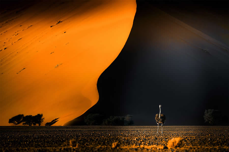 1839 Photographer of the Year Awards