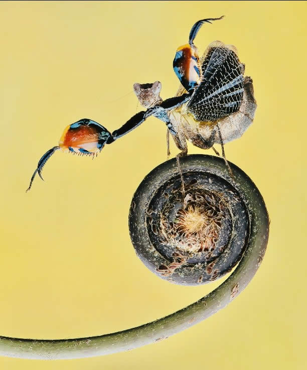 1839 Photographer of the Year Awards