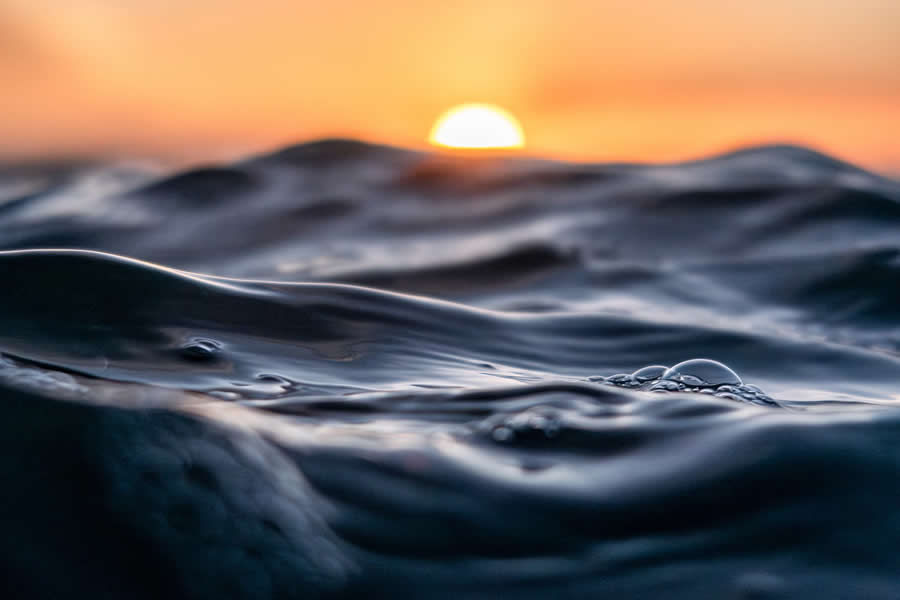 1839 Photographer of the Year Awards