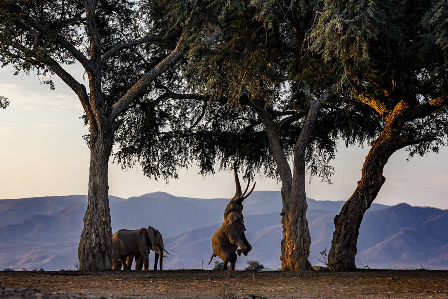 1839 Photographer of the Year Awards