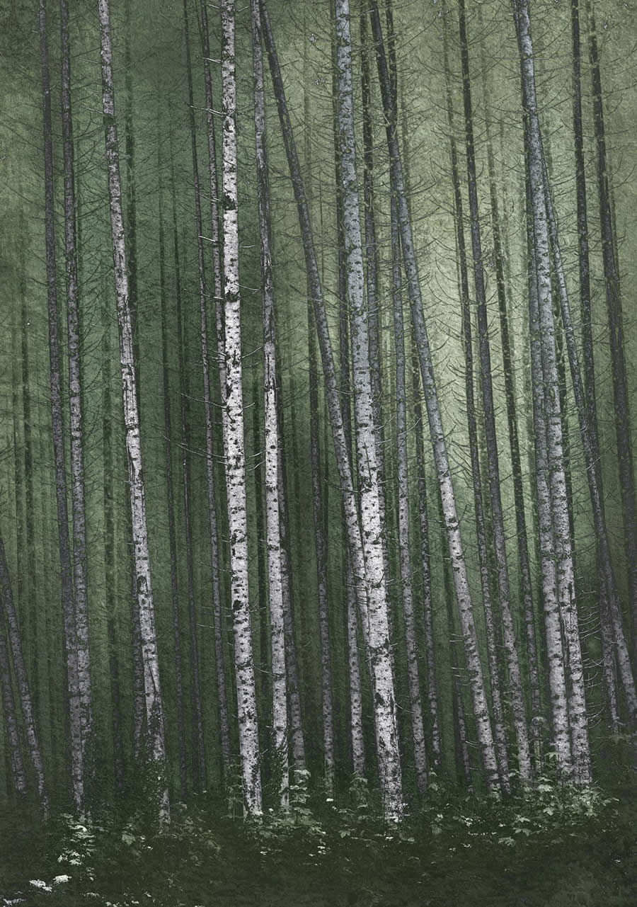 1839 Photographer of the Year Awards