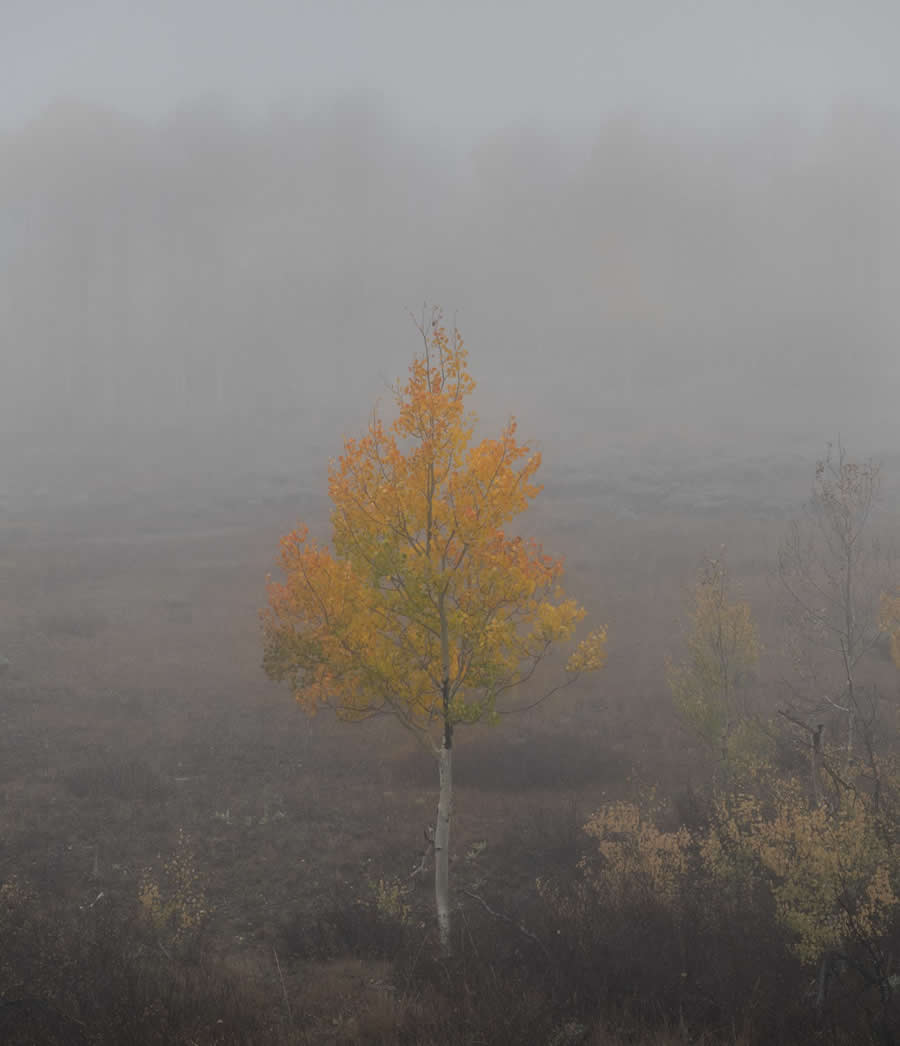 1839 Photographer of the Year Awards