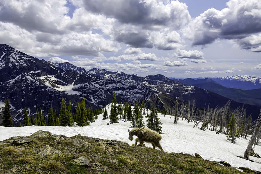 1839 Photographer of the Year Awards