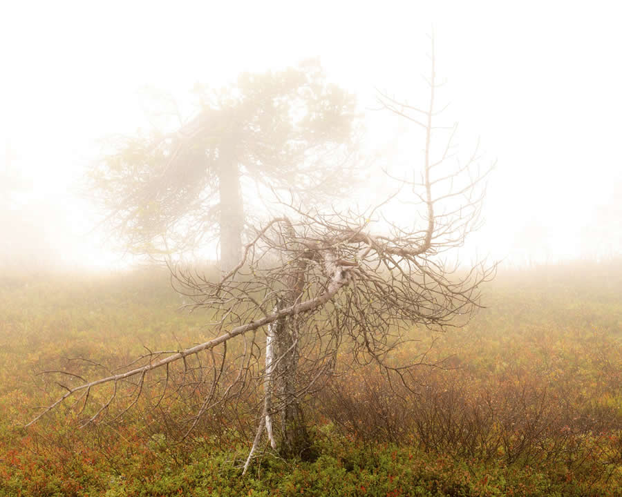 1839 Photographer of the Year Awards