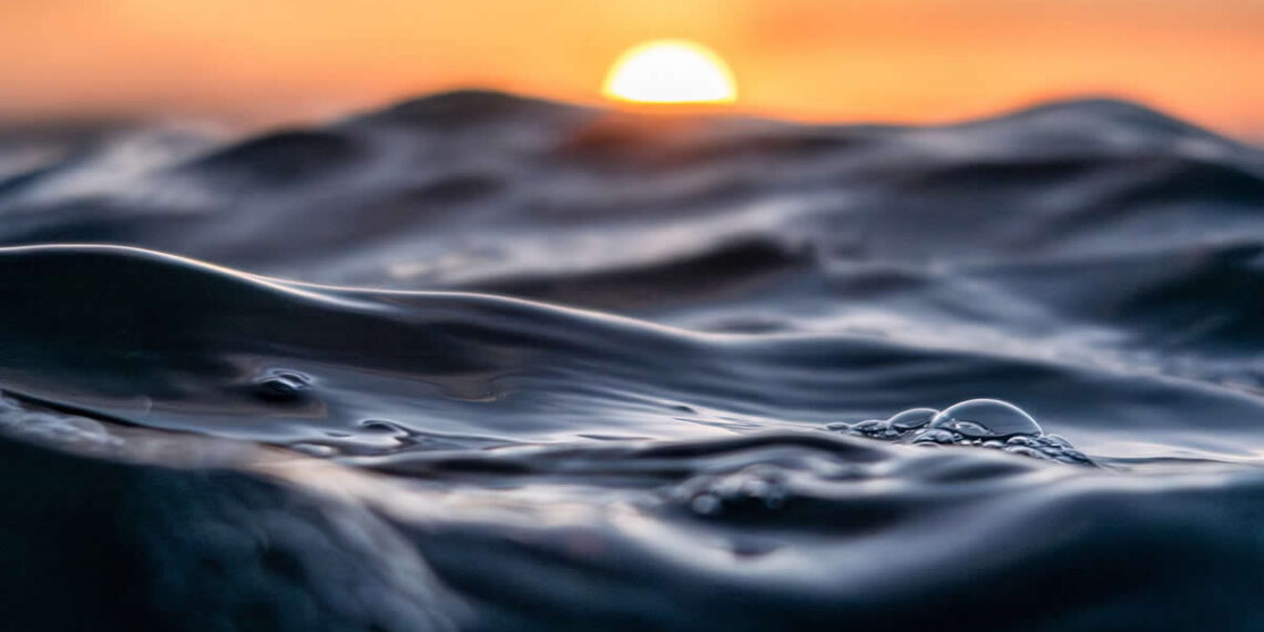 Nature Winners from the 1839 Photographer of the Year Awards